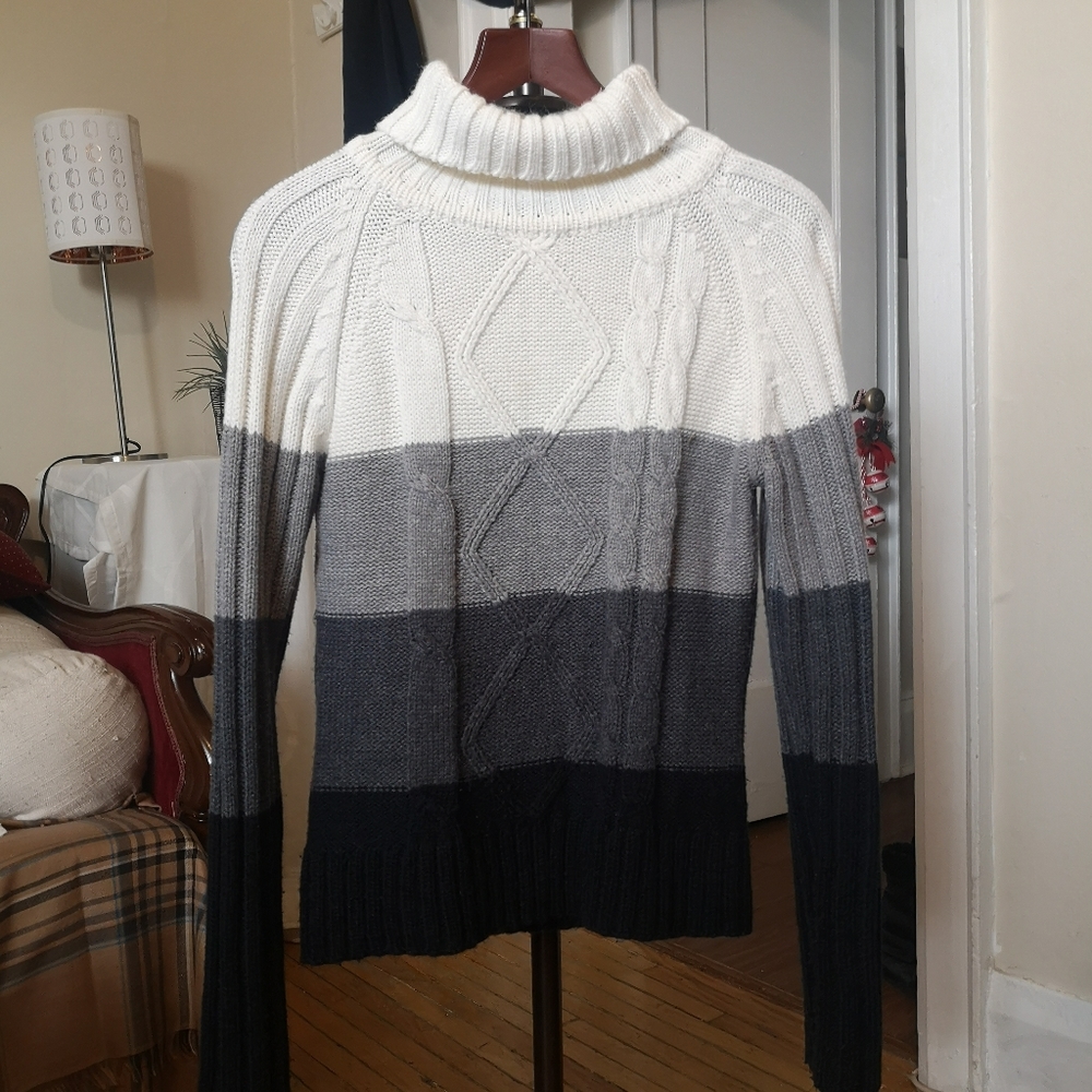2/$40 Cafebrand turtleneck pullover knit sweater